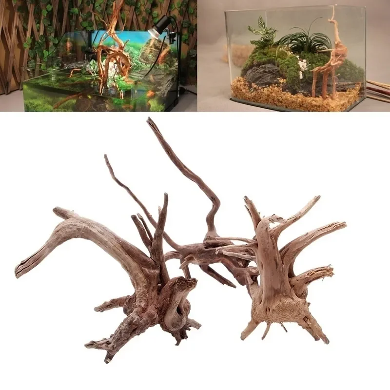 شجرة طبيعية جذع Driftwood لحوض - مراجعة Marine Aquarium All In One وسعره