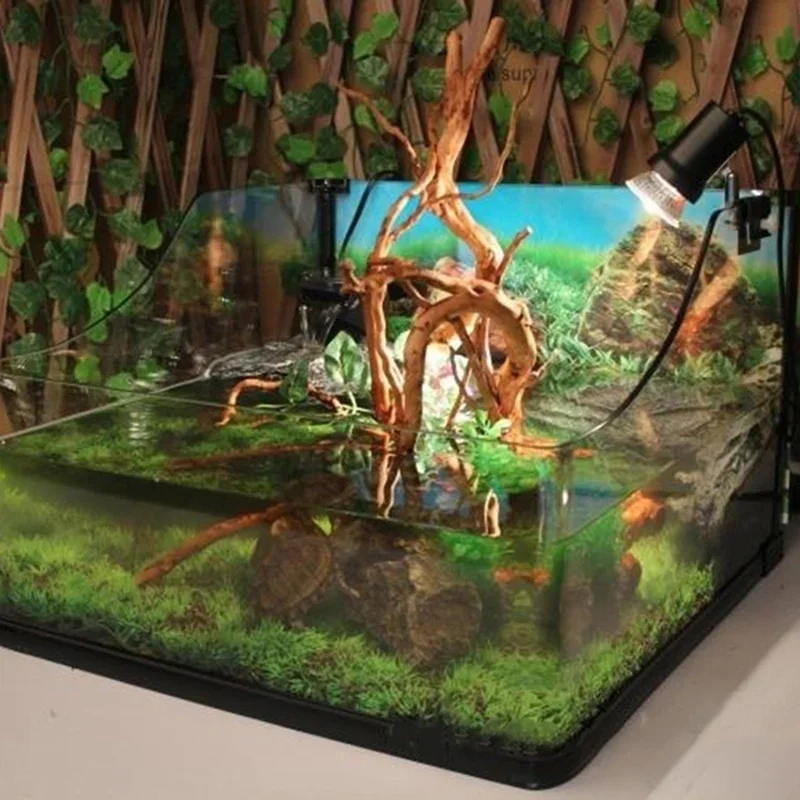 شجرة طبيعية جذع Driftwood لحوض - مراجعة Marine Aquarium All In One وسعره