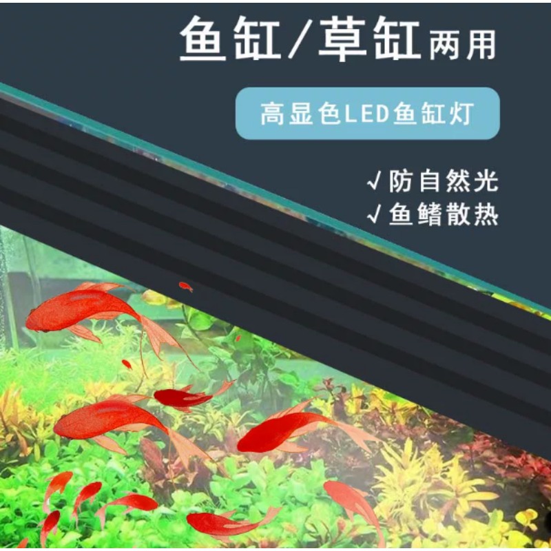 حوض أسماك ذكي مستطيل الشكل للم - مراجعة Marine Aquarium All In One وسعره