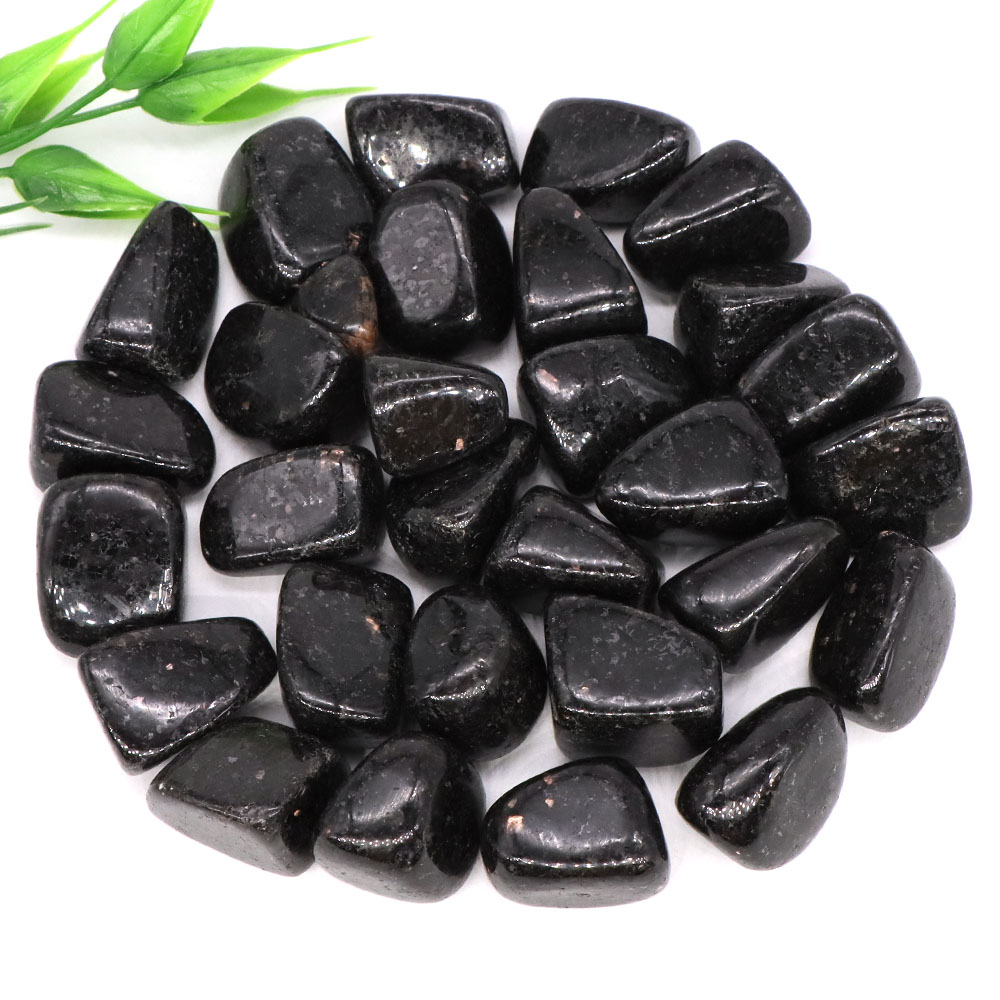 عينة حصى نوميت طبيعية غير منتظ - مراجعة Aquarium Marine Stone وسعره